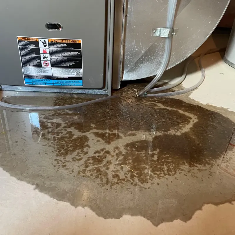 Appliance Leak Cleanup in Bellevue, OH